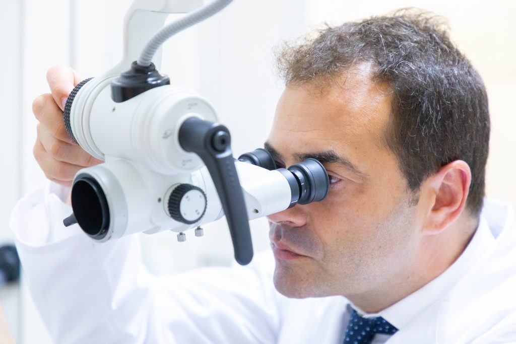 Microscopio para exploración